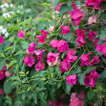 La Casa Davanti Al Mare 公寓