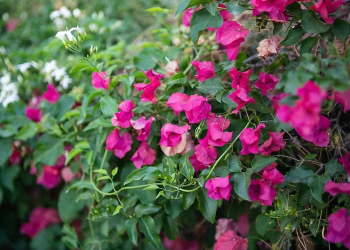 La Casa Davanti Al Mare 公寓